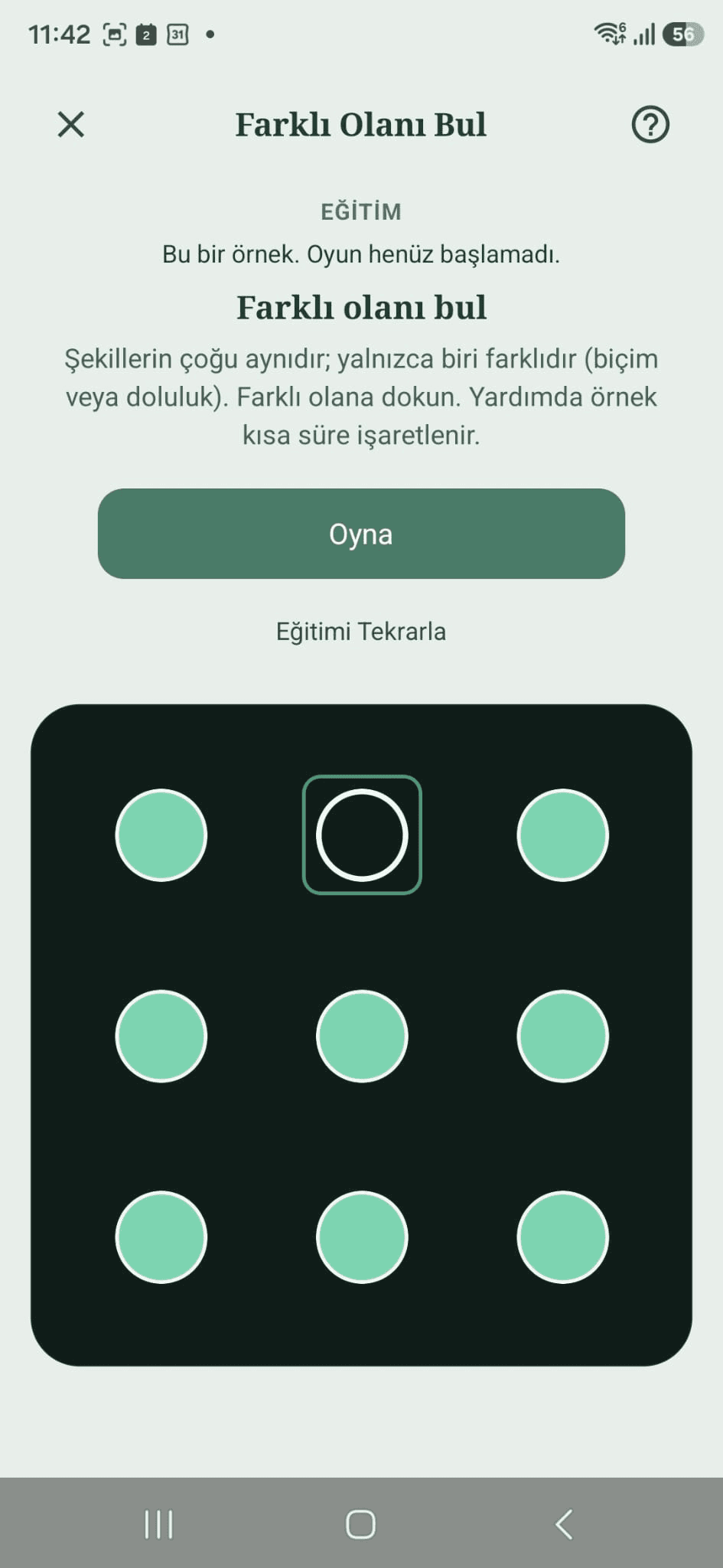 Farklı Olanı Bul